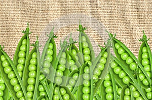 Green fresh peas over burlap background