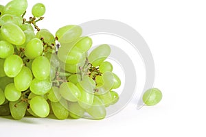 Green fresh ripe grape