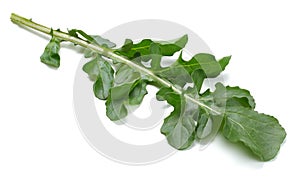 green fresh rucola leaves isolated on white background. Rocket salad or arugula.