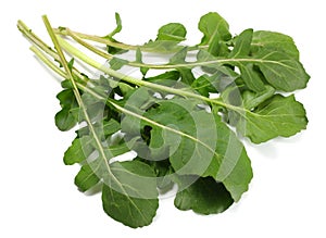 green fresh rucola leaves isolated on white background. Rocket salad or arugula.