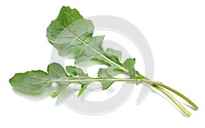 green fresh rucola leaves isolated on white background. Rocket salad or arugula.