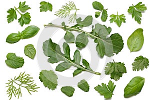 green fresh rucola leaves isolated on white background. Rocket salad or arugula.