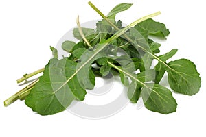 green fresh rucola leaves on white background. Rocket salad or arugula.