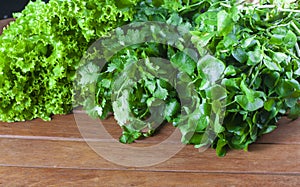 Green Fresh Salad photo