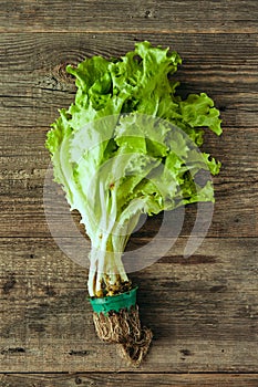 Green fresh salad in waffle cone on wooden table, healthy snack, concept photography and content for food blog