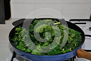 Fresh spinachs on a pan photo