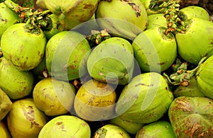 Green young fresh coconuts texture