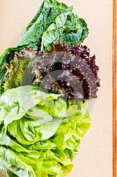 Green and fresh vegetables on the table.