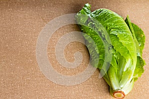 Green and fresh vegetables on the table.