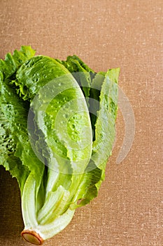 Green and fresh vegetables on the table.