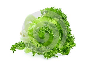 Green frillice iceberg lettuce isolated on white