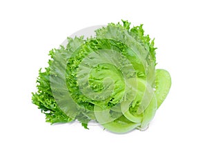 Green frillice iceberg lettuce isolated on white