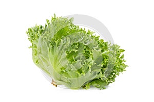 green frillies iceberg lettuce isolated on white background