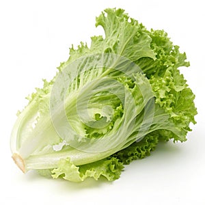 Green frillies iceberg lettuce isolated on white background photo