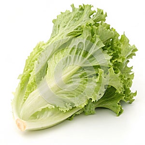 Green frillies iceberg lettuce isolated on white background photo