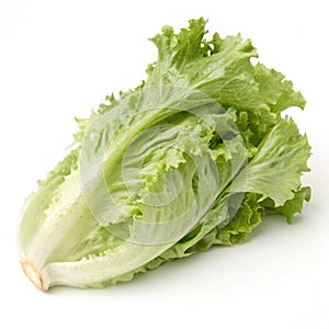 Green Frillies Iceberg Lettuce isolated on white background photo