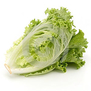 Green Frillies Iceberg Lettuce isolated on white background photo