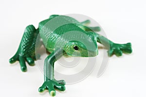 Green Frog