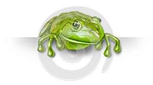 Green frog with a blank sign