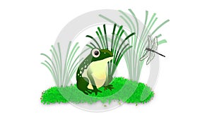 Green frog eat insect, Cartoon frog of green reptile character eating flying insects