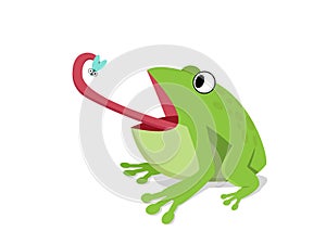 Green frog eat insect on white, cartoon vector