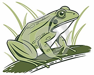 Green frog in grass silhouette