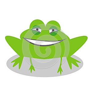 Green frog illustration