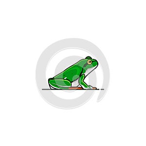 Green frog isolated vector graphics