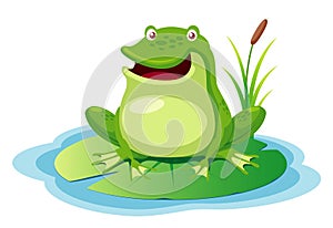 Green frog on a leaf pond