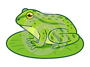 Green frog on lilypad drawing