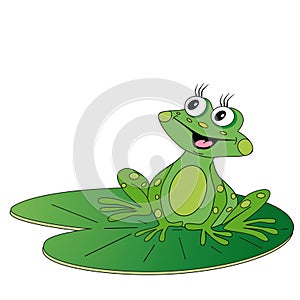 Green frog sitting on green leaf