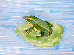 A green frog on a water lily leaf in a pond. Hand drawing made by color markers