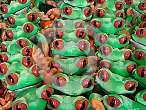 Green frogs photo