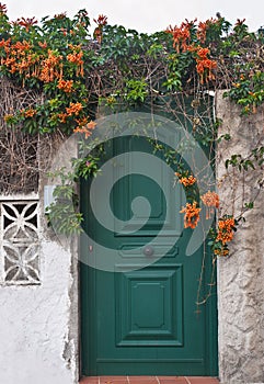 Green front door with orange flowers