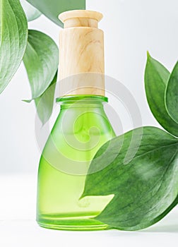 Green frosted glass product packaging with natural ruscus branch, anti aging serum with peptides, cosmetics mockup, spa concept