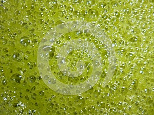 Green froth on drink