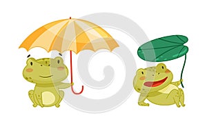 Green funny frog characters set. Cute toad amphibian animals with umbrellas cartoon vector illustration