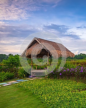 Wonderful Garden View at batam bintan indonesia photo