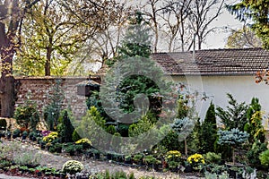 Green garden with birdhouse