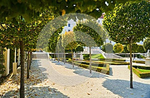 The green garden of the Bratislava Castle with neatly trimmed trees