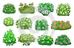 Green garden bushes with flowers. Decorative summer plants. Cartoon blooming shrubs. Shrubbery trees. Living natural