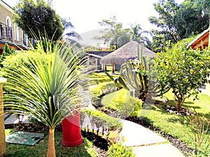 Green garden in Cuernavaca Mexico photo