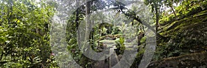 Green garden at Goa Gajah Elephant Cave Temple near Ubud, Bali, Indonesia