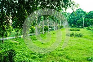 Green garden of alfred park allahabad photo
