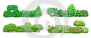 Green garden hedge. Cartoon bush borders. Blooming plant composition. Natural flowering shrubs. Shrubbery trees. Foliage