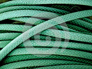 Green garden hose