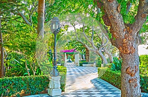 In green garden of Paseo de Carlos III, Cadiz, Spain