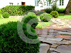 green garden path with small ball shaped evergreen shrubs and red color rustic stone paving