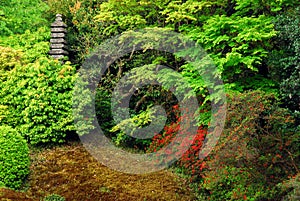 Green garden with stone pagoda