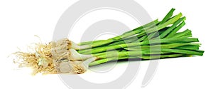 Green garlic isolated on white background. Crop.